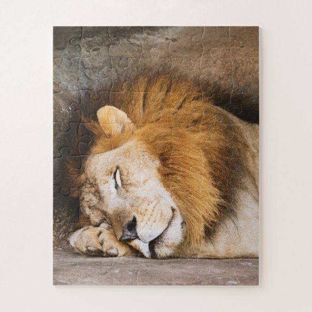 Sleepy Dreaming Adult Lion on Rocks Jigsaw Puzzle (Vertical)