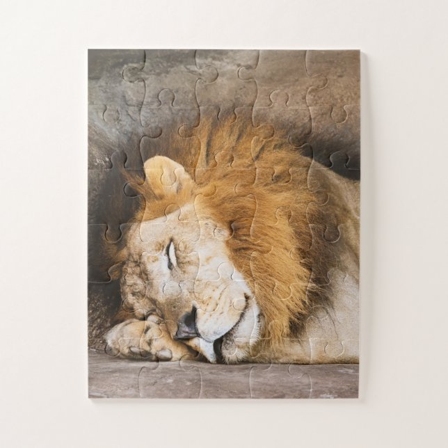 Sleepy Dreaming Adult Lion on Rocks Jigsaw Puzzle (Vertical)