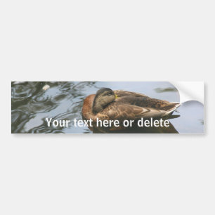 Sleepy Duck Nature Personalised Bumper Sticker