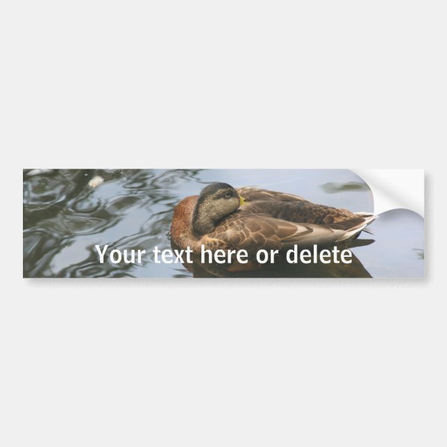 Sleepy Duck Nature Personalised Bumper Sticker (Front)