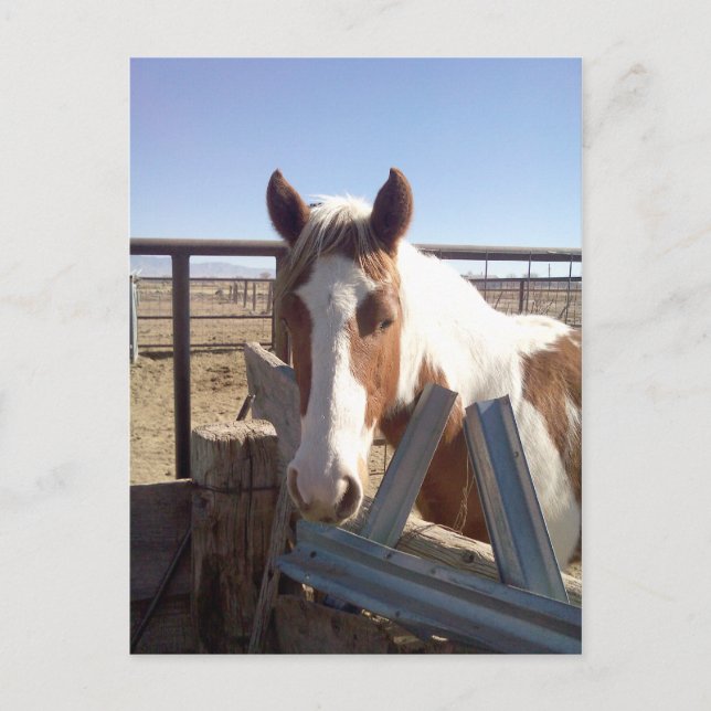 Sleepy Eyed Paint Postcard (Front)