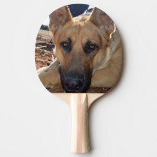 Sleepy Eyes Alsatian Dog, Ping Pong Paddle