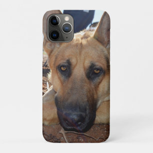 Sleepy Eyes: Young Alsatian Shepherd Dog, iPhone 11 Pro Case