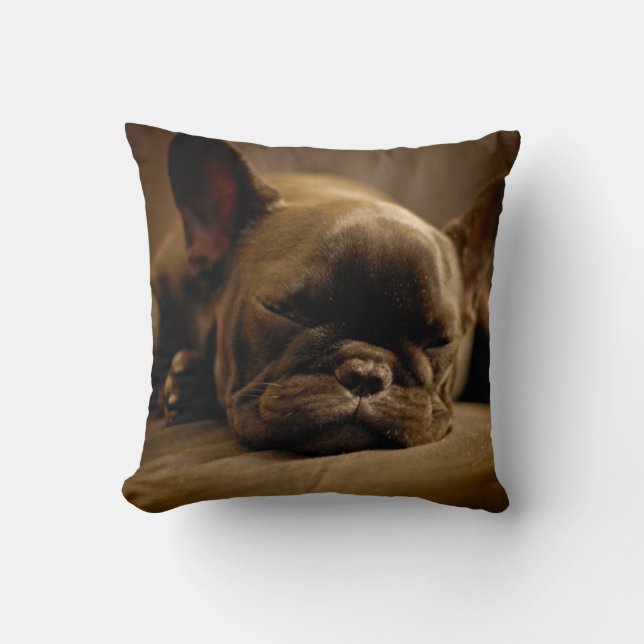 Sleepy French Bulldog Cushion (Front)