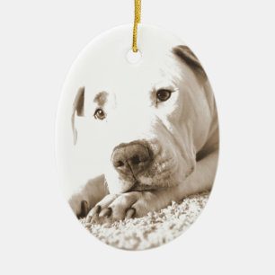sleepy friendly white pitbull hate deed not breed ceramic tree decoration