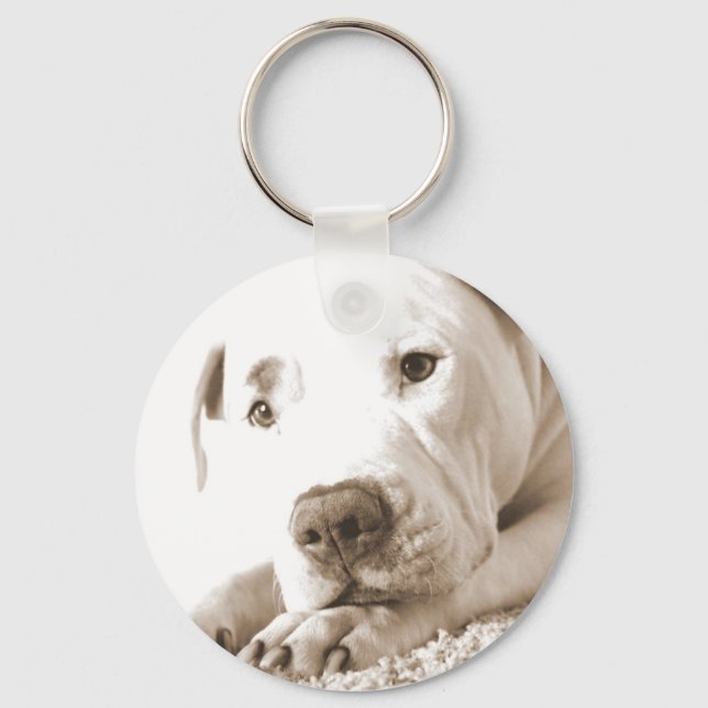 sleepy friendly white pitbull hate deed not breed key ring (Front)