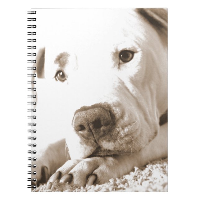 sleepy friendly white pitbull hate deed not breed notebook (Front)