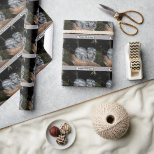 Sleepy Frogmouth Owls, Birthday Wrapping Paper