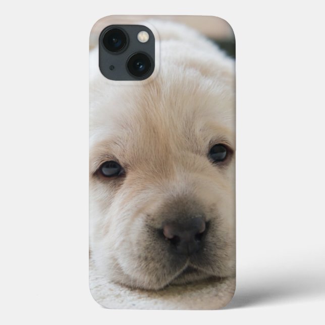 Sleepy Golden Labrador Puppy Case-Mate iPhone Case (Back)