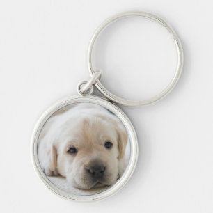 Sleepy Golden Labrador Puppy Key Ring