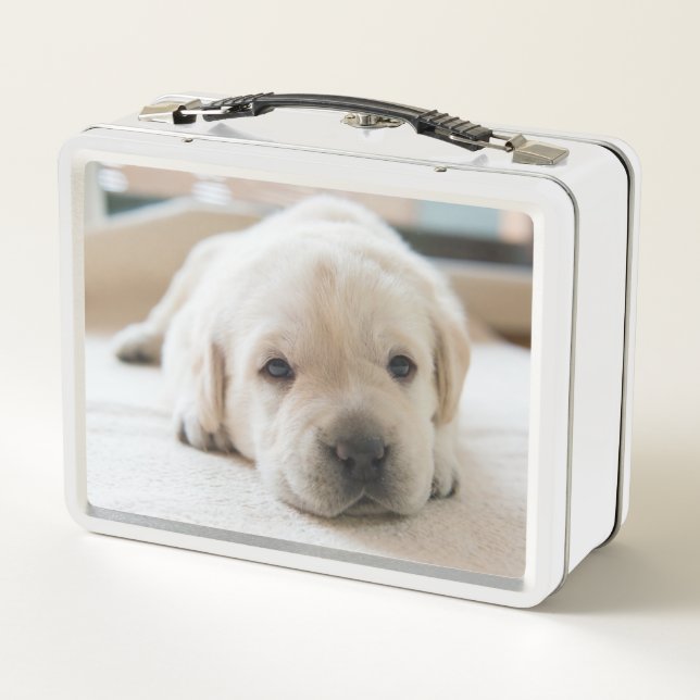 Sleepy Golden Labrador Puppy Metal Lunch Box (Back)