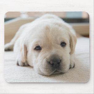 Sleepy Golden Labrador Puppy Mouse Mat