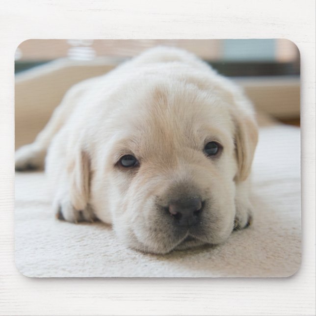Sleepy Golden Labrador Puppy Mouse Mat (Front)