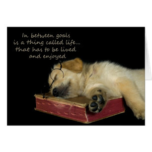 Sleepy Golden Retriever