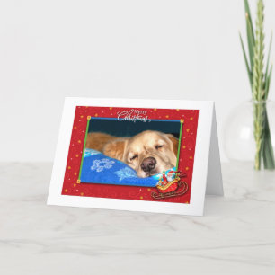 Sleepy Golden Retriever Holiday Greeting Card