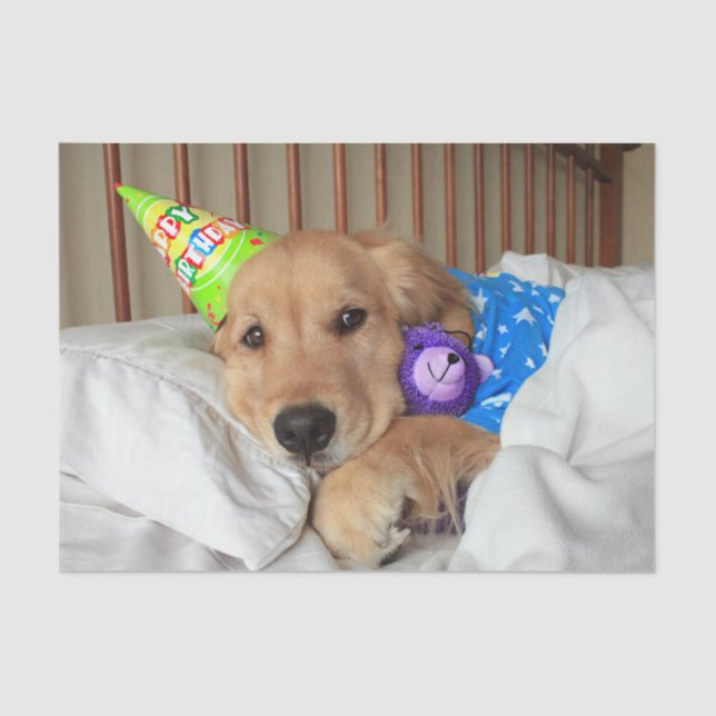 Sleepy Golden Retriever in Pajamas Birthday Tissue Paper (Front)