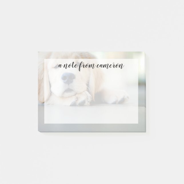 Sleepy Golden Retriever Puppy Post-it Notes (Front)