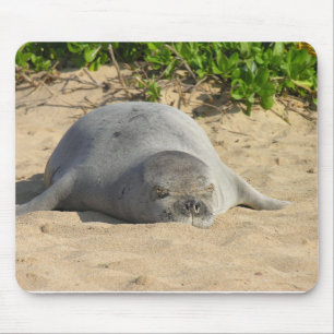 Sleepy Hawaiian Monk Seal Mouse Mat