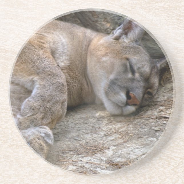 Sleepy Head Coaster (Front)