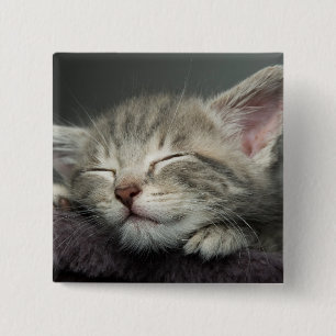 Sleepy Kitten 15 Cm Square Badge