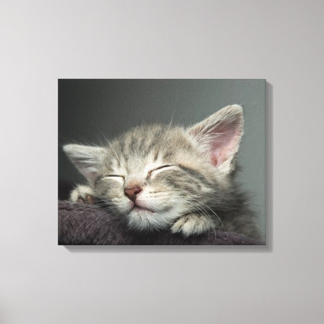 Sleepy Kitten Canvas Print (Front)