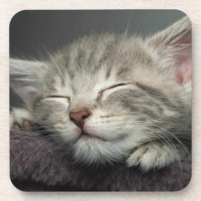 Sleepy Kitten Coaster (Front)