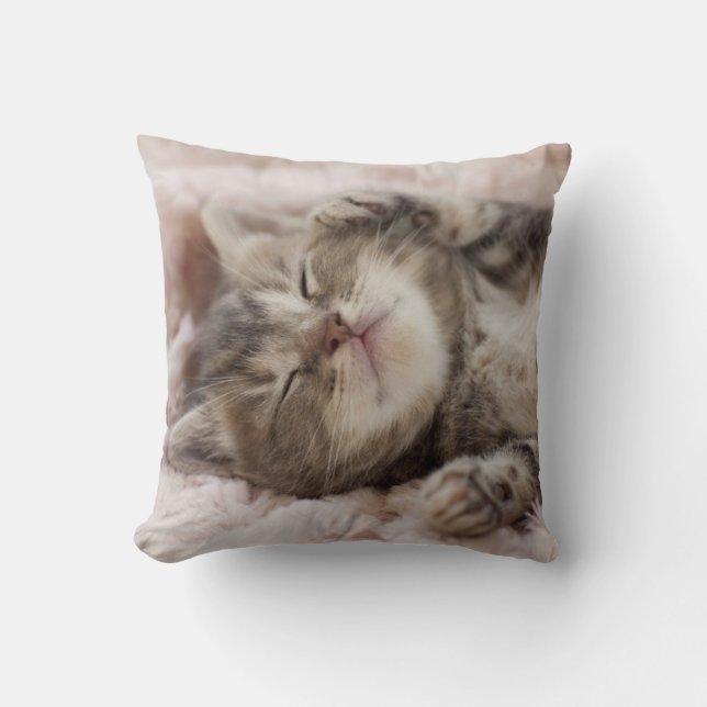 Sleepy Kitten Cushion (Front)