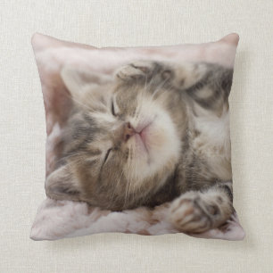 Sleepy Kitten Cushion