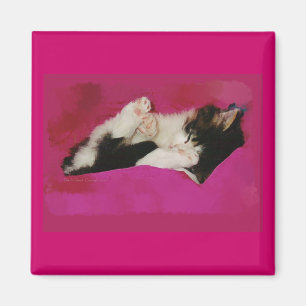 Sleepy Kitten in Pink Magnet