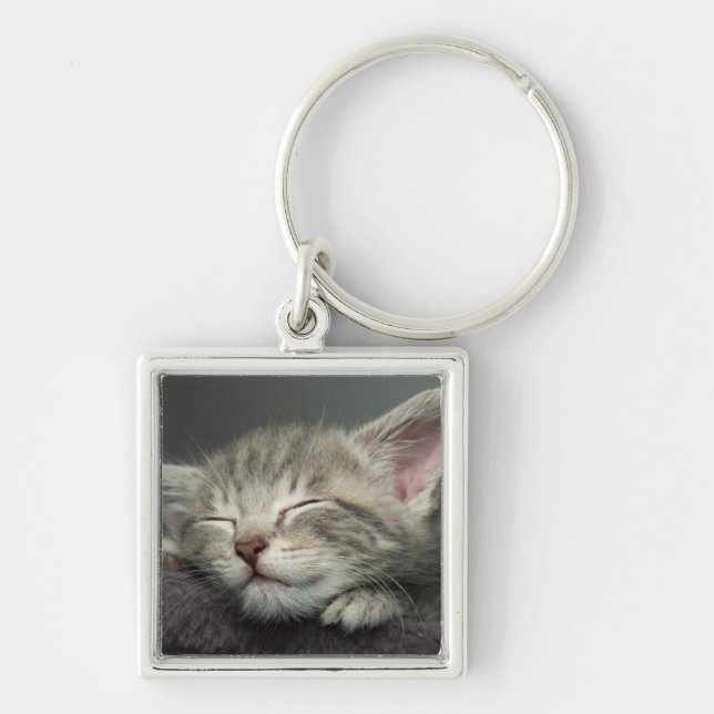 Sleepy Kitten Key Ring (Front)