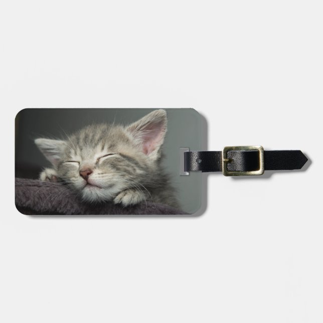 Sleepy Kitten Luggage Tag (Front Horizontal)