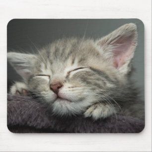 Sleepy Kitten Mouse Mat