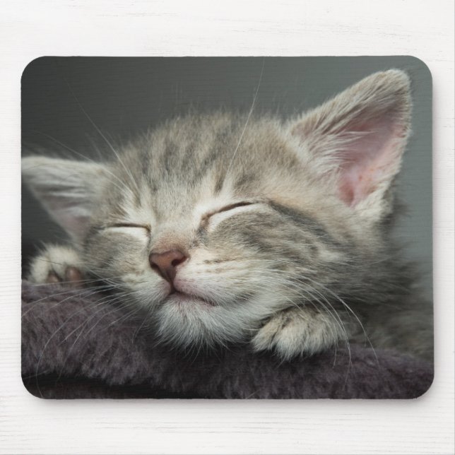 Sleepy Kitten Mouse Mat (Front)