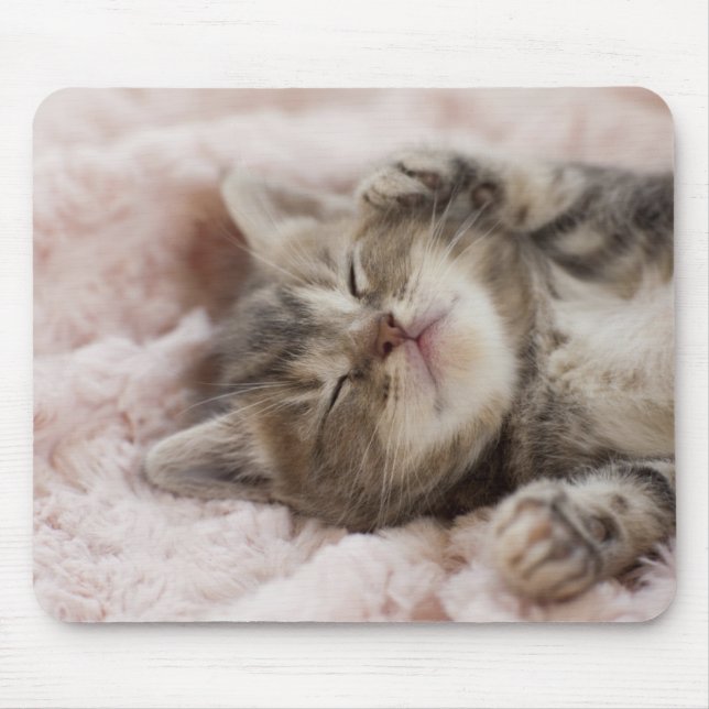 Sleepy Kitten Mouse Mat (Front)