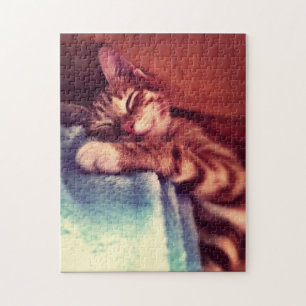 Sleepy Kitten Puzzle