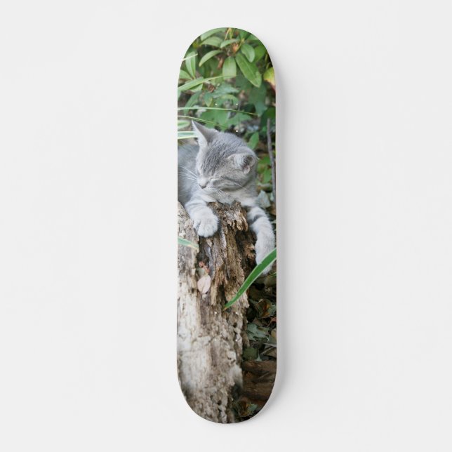 Sleepy kitten skateboard (Front)