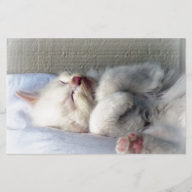 Sleepy Kitten Stationery (Front)