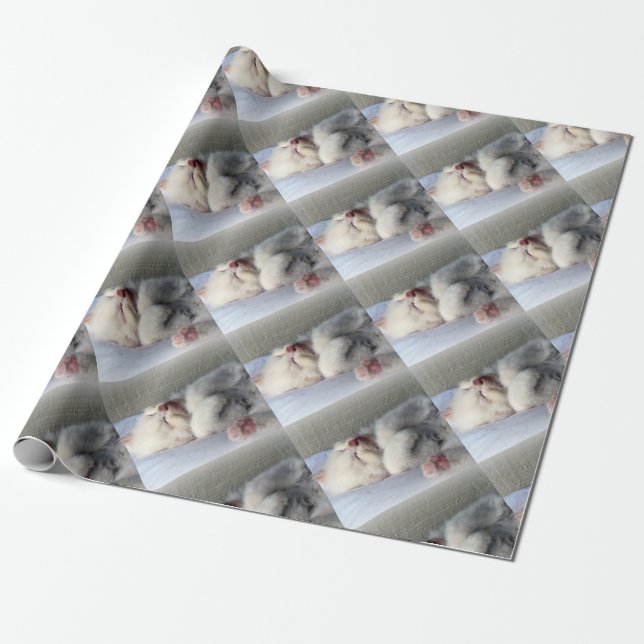 Sleepy Kitten Wrapping Paper (Unrolled)