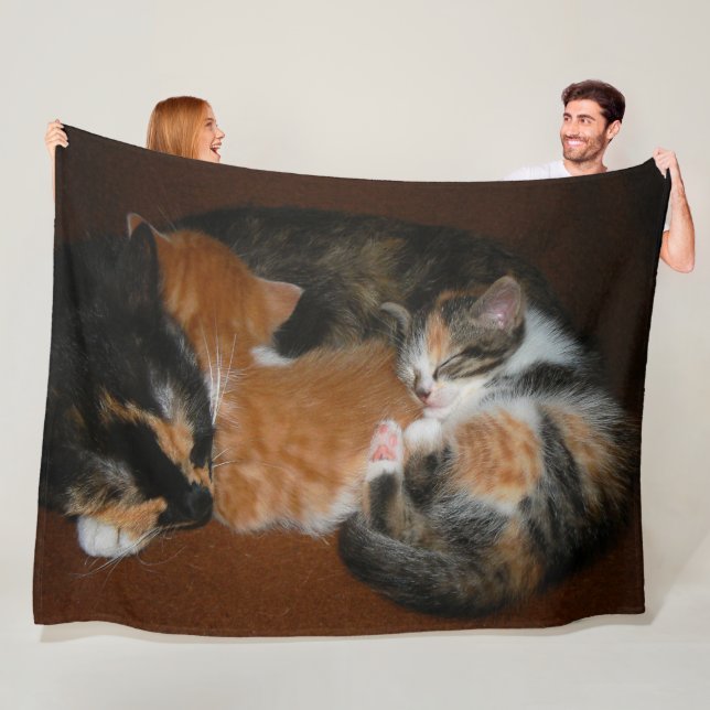Sleepy kittens fleece blanket (In Situ)