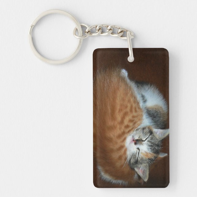 Sleepy kittens key ring (Front)