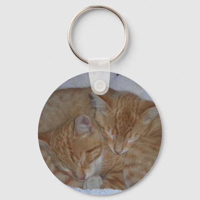 Sleepy kittens key ring (Front)