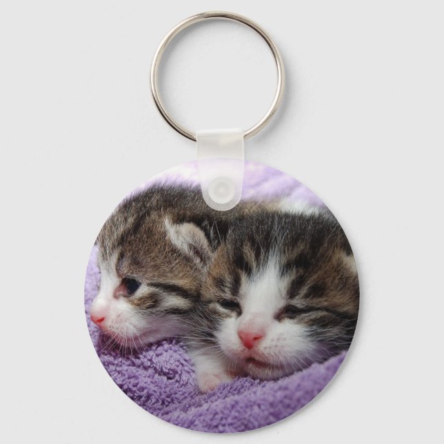 Sleepy kittens key ring (Front)