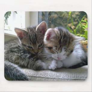 Sleepy Kittens Mouse Mat