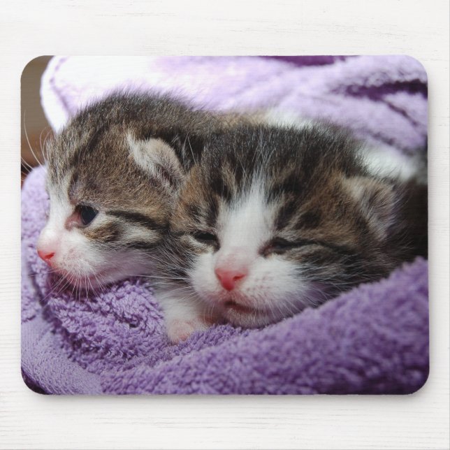 Sleepy kittens mouse mat (Front)