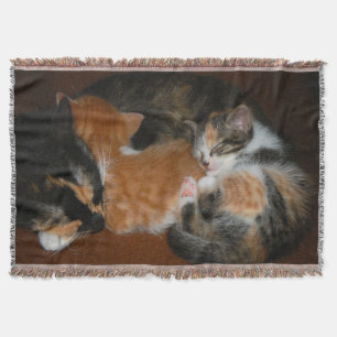 Sleepy kittens throw blanket