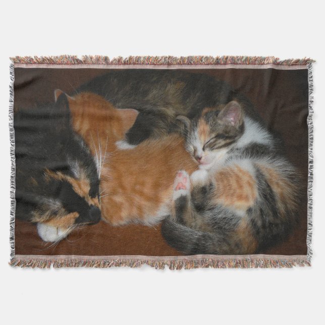 Sleepy kittens throw blanket (Front)