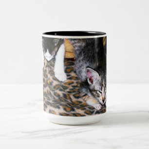 Sleepy Kittens Two-Tone Coffee Mug