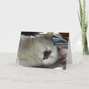Sleepy kitty Birthday Card