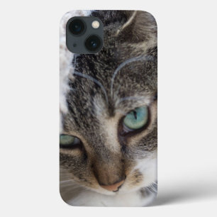 Sleepy Kitty iPhone 13 Case