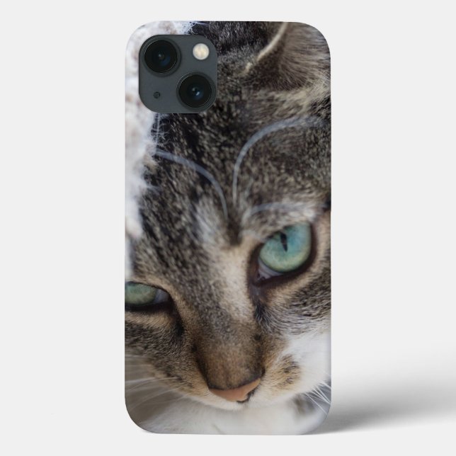 Sleepy Kitty Case-Mate iPhone Case (Back)